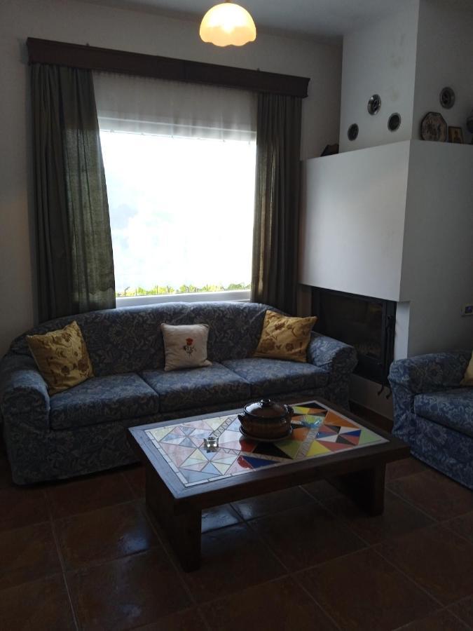 סקופלוס טאון Aloni Villa מראה חיצוני תמונה